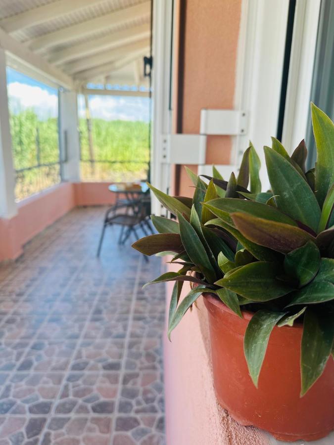 Venetian Gem Central Corfu Retreat Kanoni  Zewnętrze zdjęcie